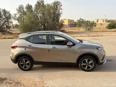 ساوث إيست DX3 موديل 2021 . 3