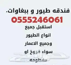 فندقة طيور وقطط 6061 24 0555 شاهد التقييمات 0