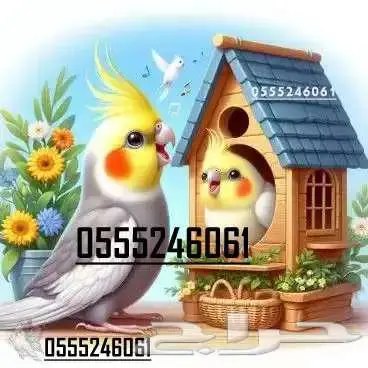 فندقة طيور وقطط 6061 24 0555 شاهد التقييمات 3