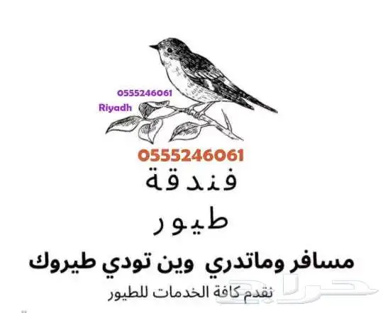 فندقة طيور وقطط 6061 24 0555 شاهد التقييمات 1