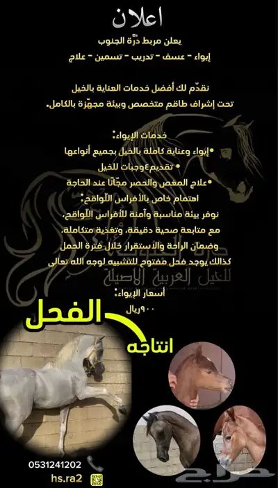 مربط درة الجنوب 0