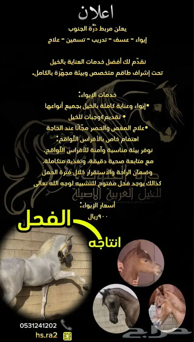 مربط درة الجنوب 0