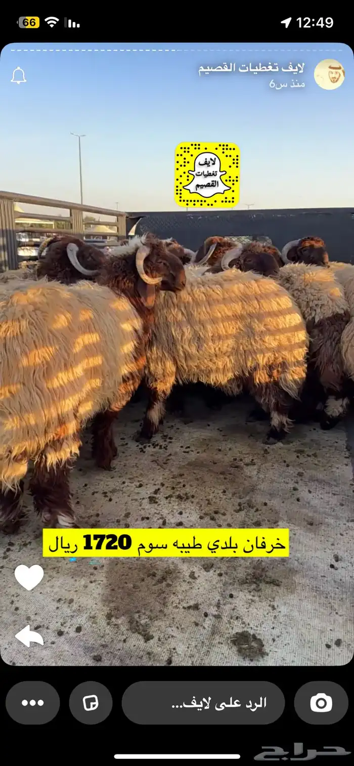 مطلوب عدد. 8. ضحايا 0