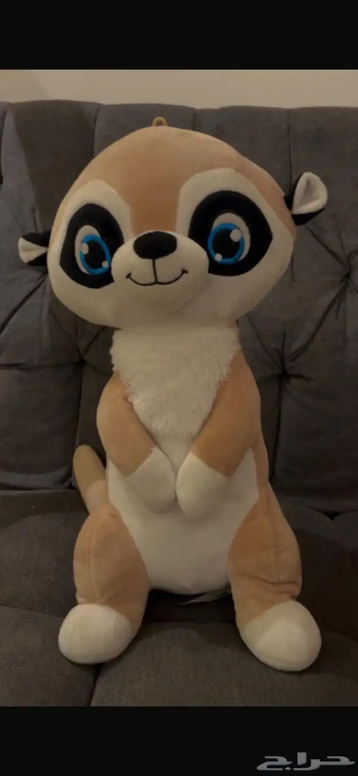 مجموعة ألعاب ونتر وندرلاند 10