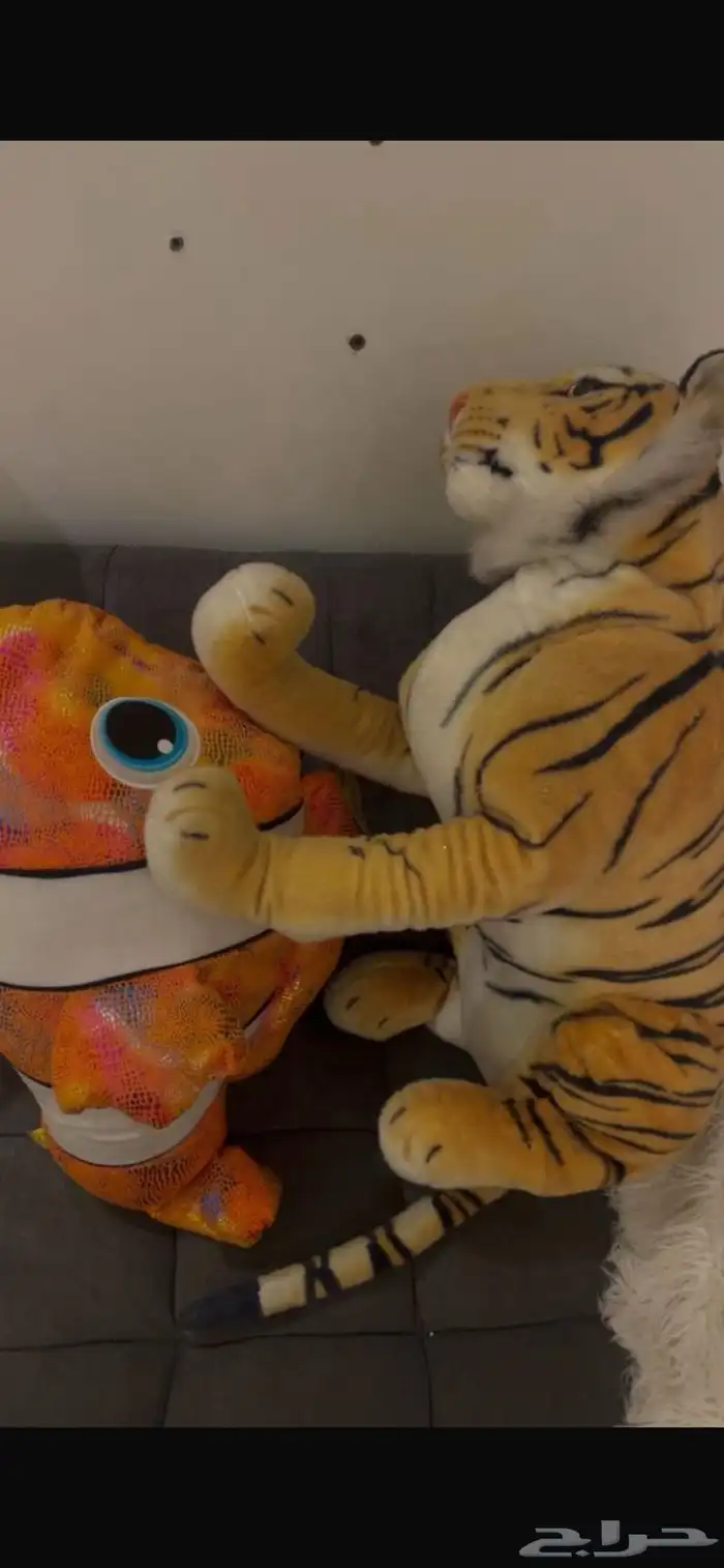 مجموعة ألعاب ونتر وندرلاند 6