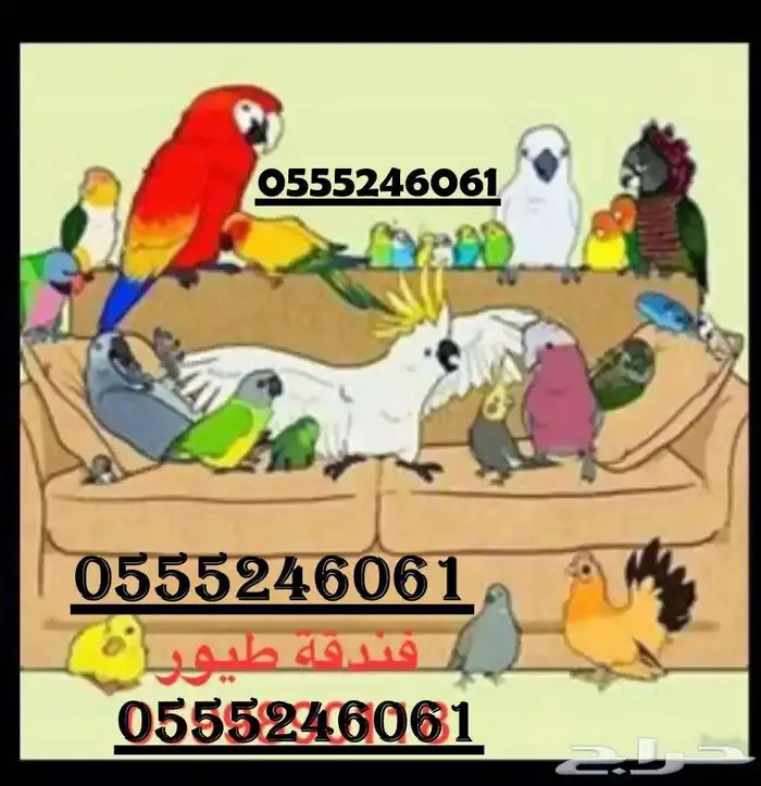 فندقة طيور وقطط 6061 24 0555 شاهد التقييمات 2