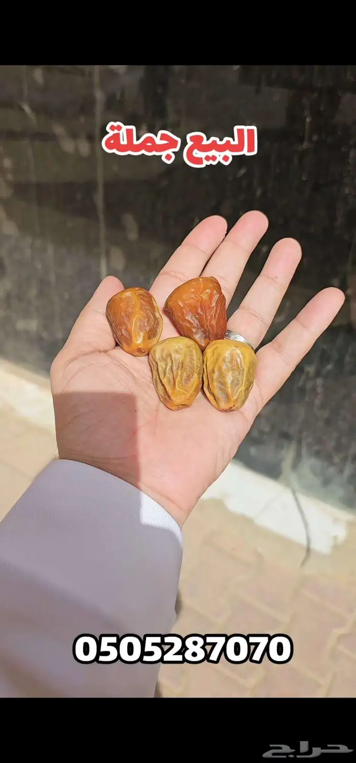 جلكسي ومفتل مغلف 1