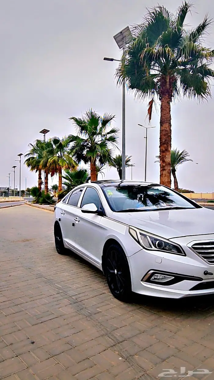 مشاوير خاصه على مدار الساعه صامطه 3