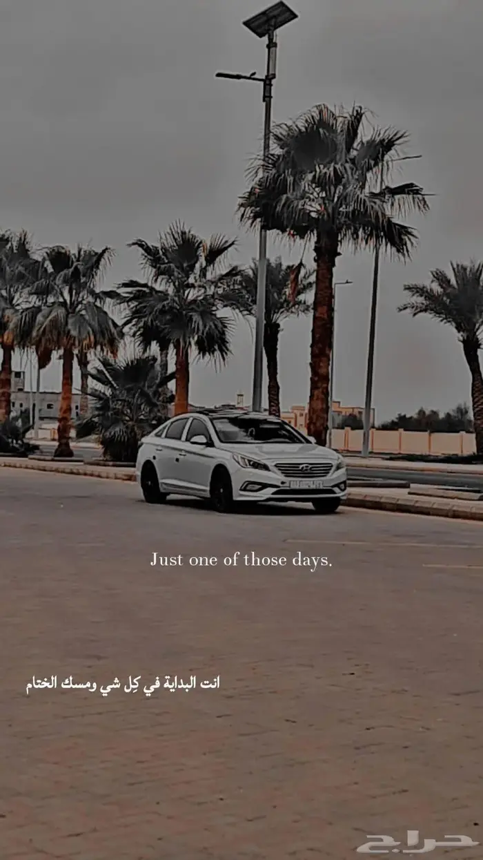 مشاوير خاصه على مدار الساعه صامطه 0