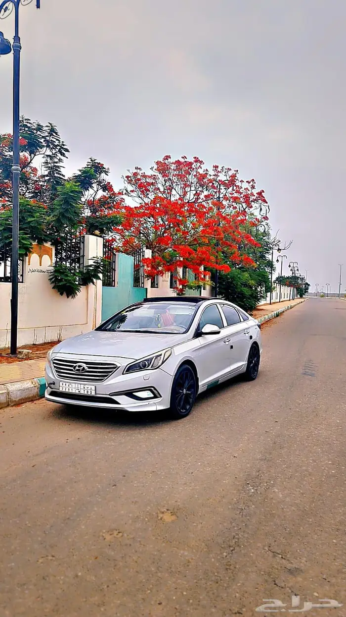 مشاوير خاصه على مدار الساعه صامطه 1