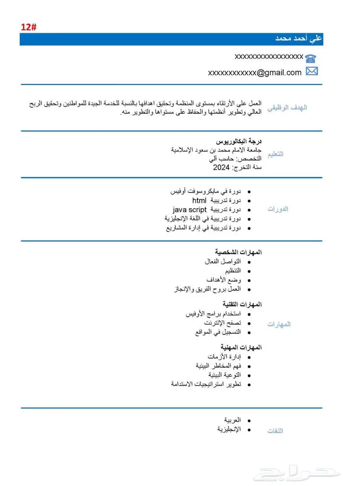 سيرة ذاتية احترافية او ATS 4