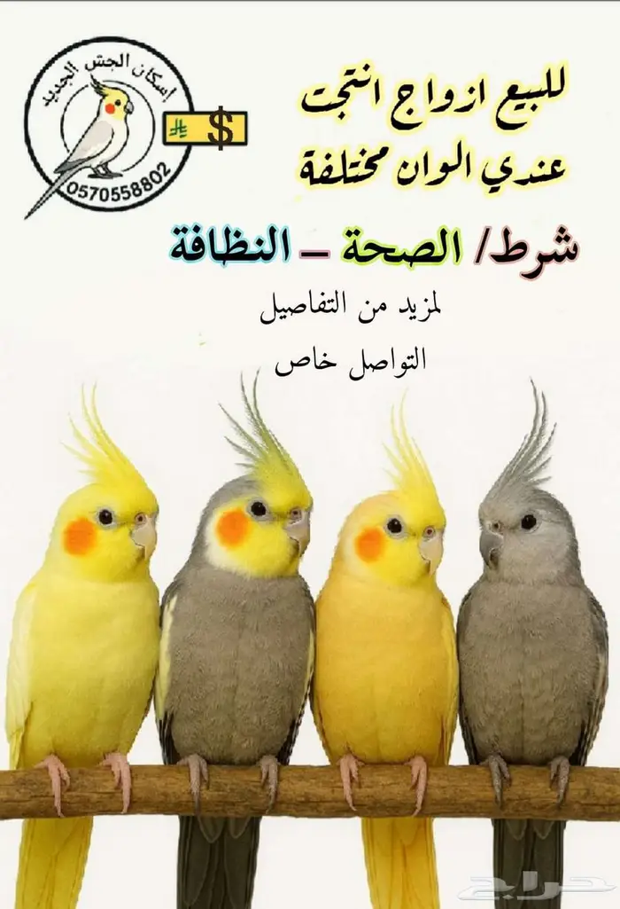 للبيع أزواج كروان منتجه 0