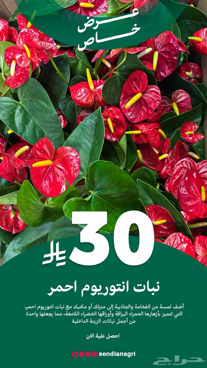 مصمم جرافيك 20