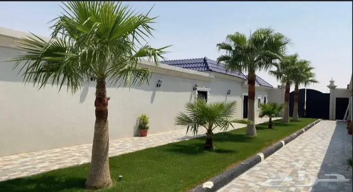 شاليهات الرمال 8