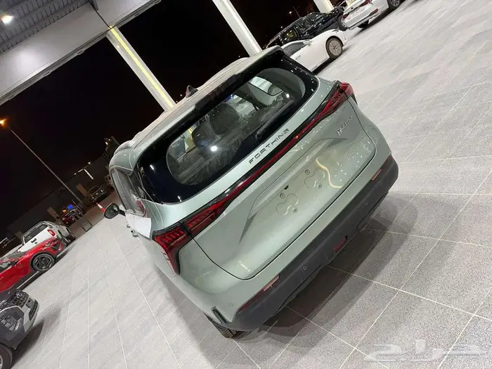 فورثينج يو-تور 2024 10