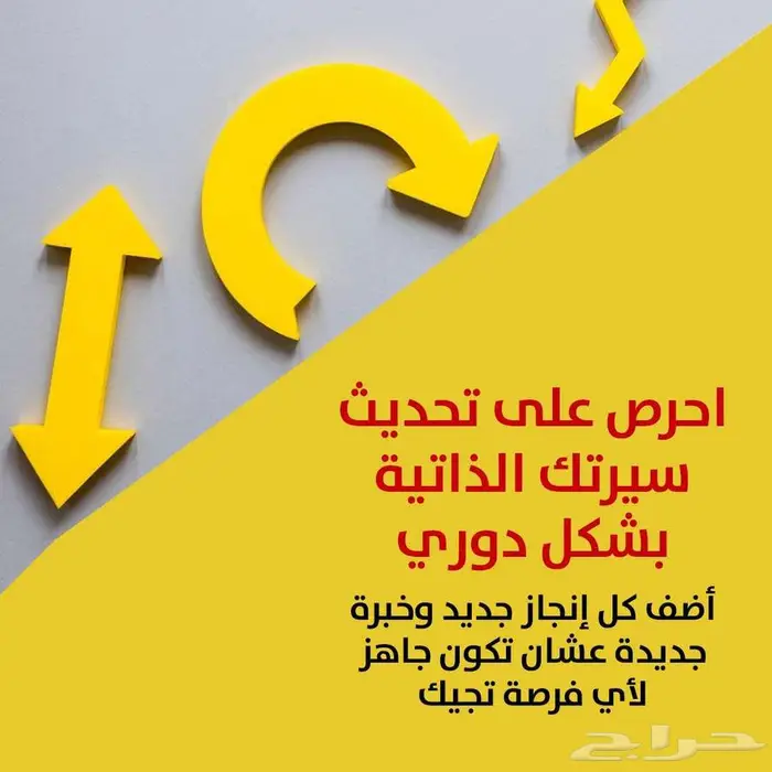 سيرة ذاتية احترافية او ATS 19