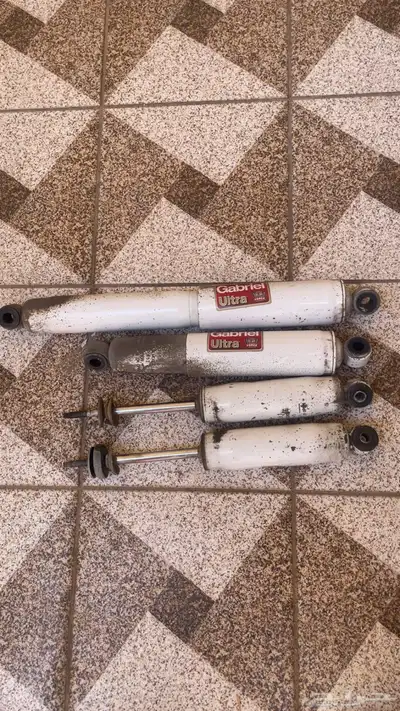 مساعدات جبريال ددسن 0