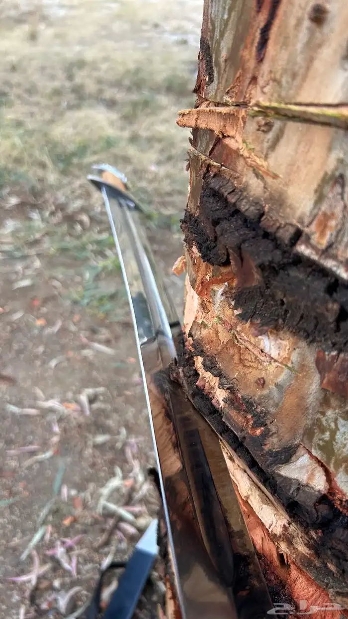 سيف سيوف سكين رحلات سكاكين جوهر دمشقي اسد الله 2