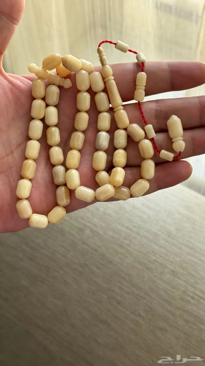 مسباح عظم النعام مع الخام 3