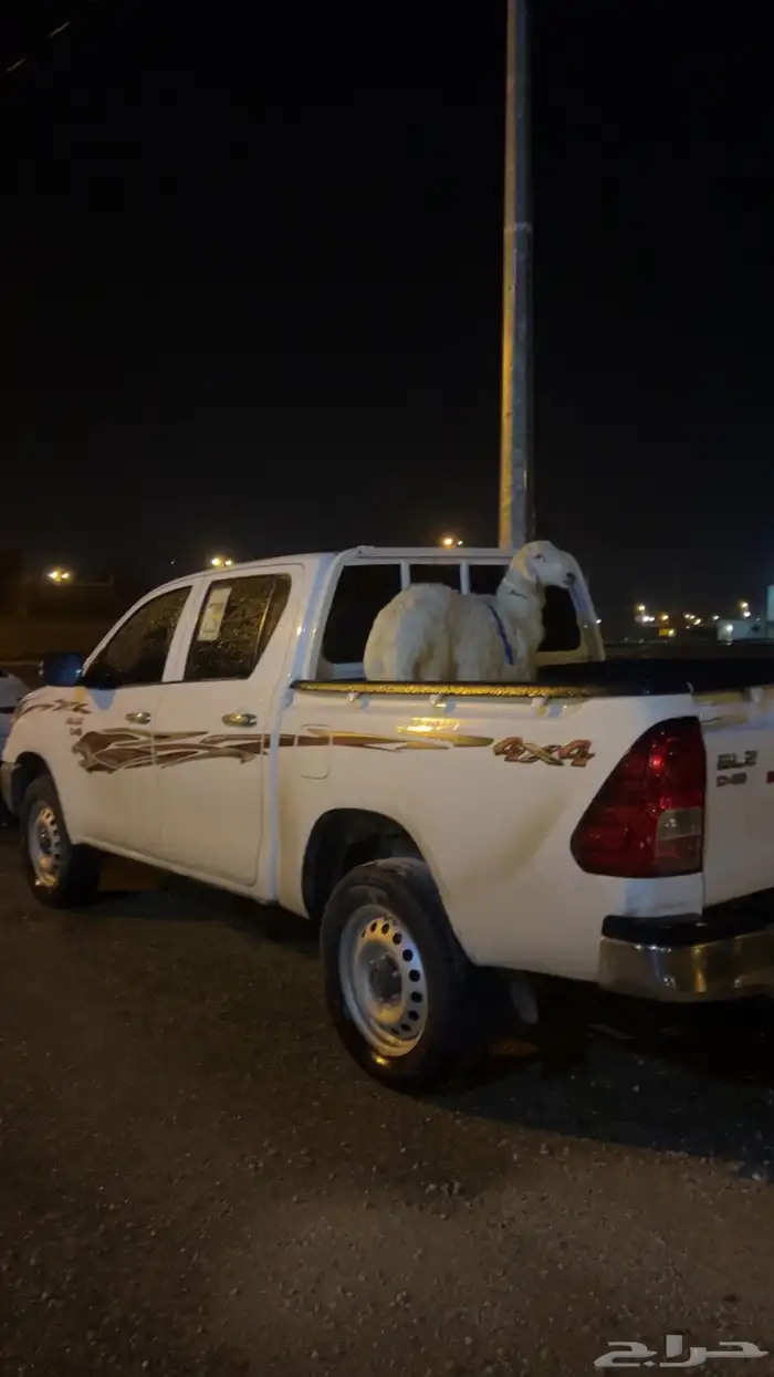 نوصل طليان وذبح واي طلب جاهزين لتوصيل 0