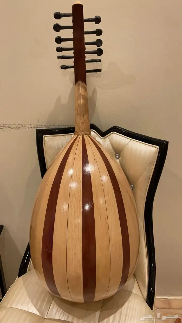 عود مصري 1