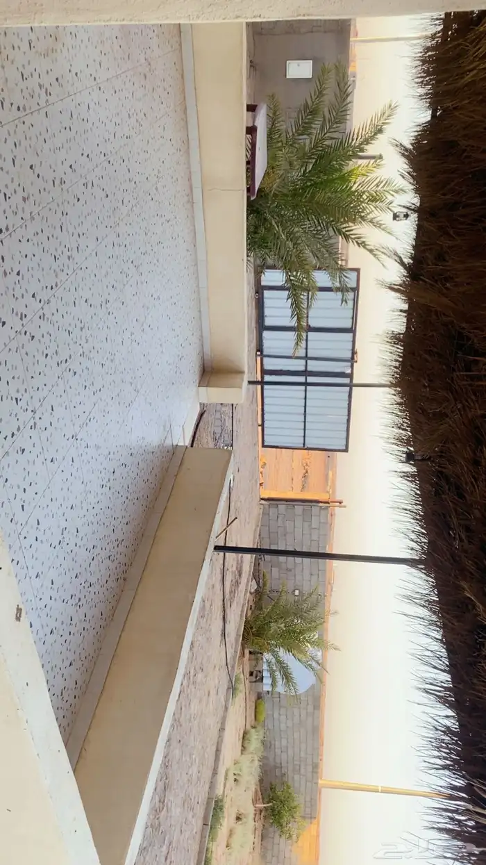 حوش هجن للبيع 0