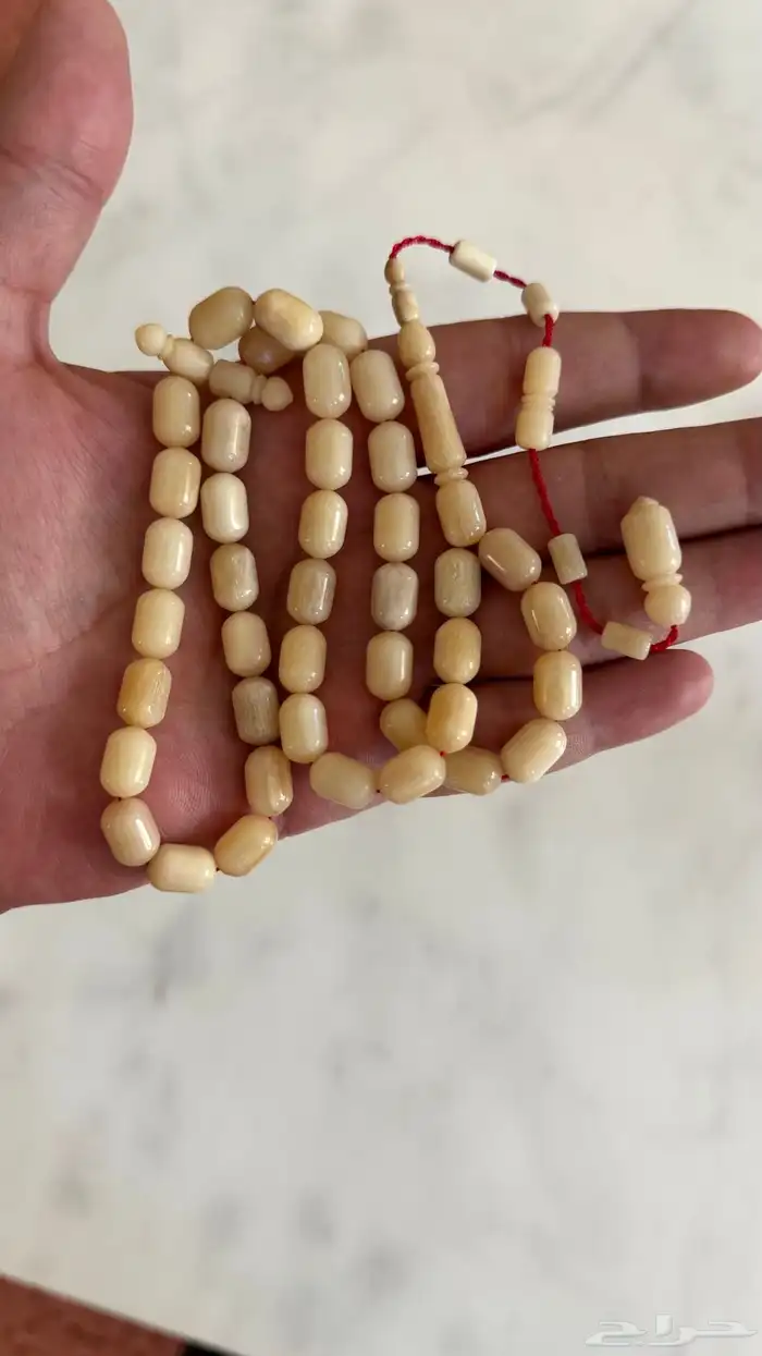 مسباح عظم النعام مع الخام 0