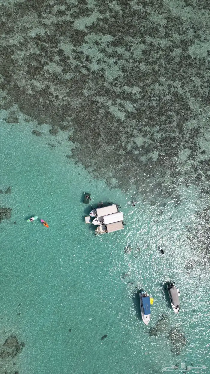 رحلات جزيرة بياضه مالديف جده 19