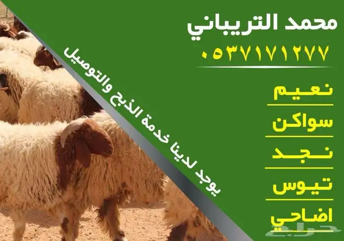ذبايح 0