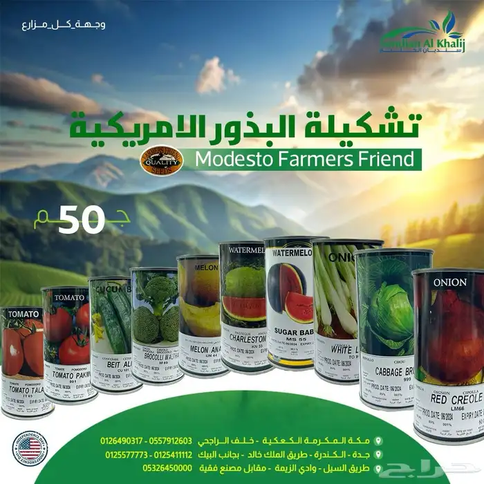 مصمم جرافيك 18