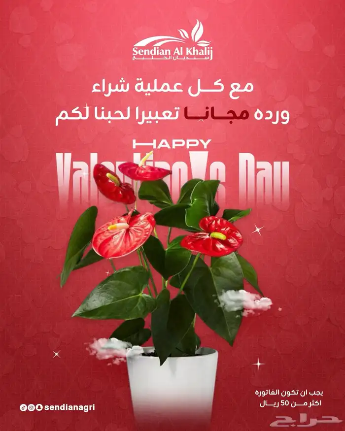 مصمم جرافيك 38