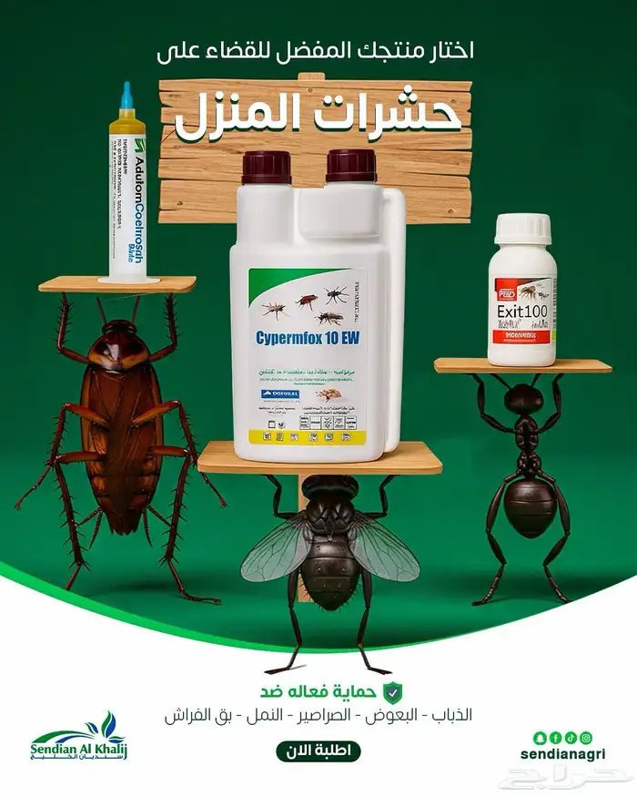 مصمم جرافيك 29