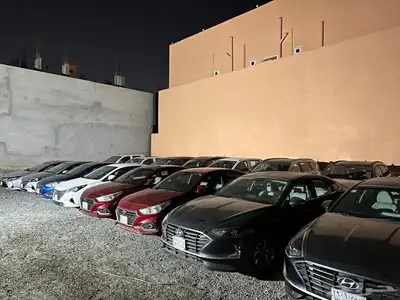 مجموعة صني للبيع واكسنت للبيع 3