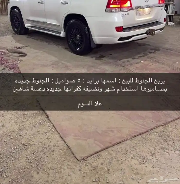 جنوط برايد للبيع 0
