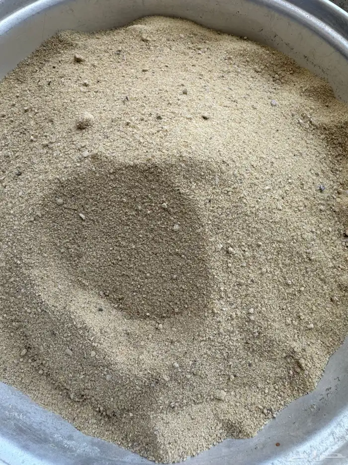 خرسان ابيض مرو 5