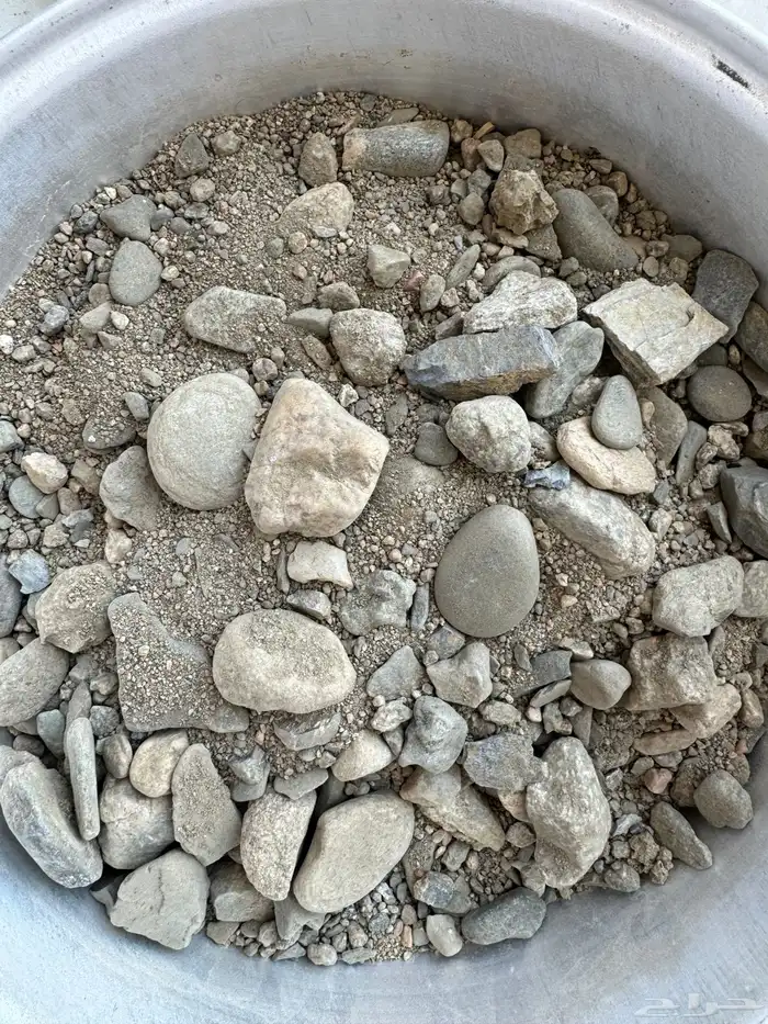 خرسان ابيض مرو 3