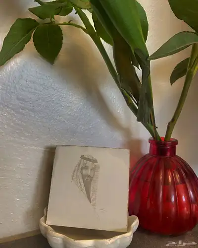 توزيعات 8