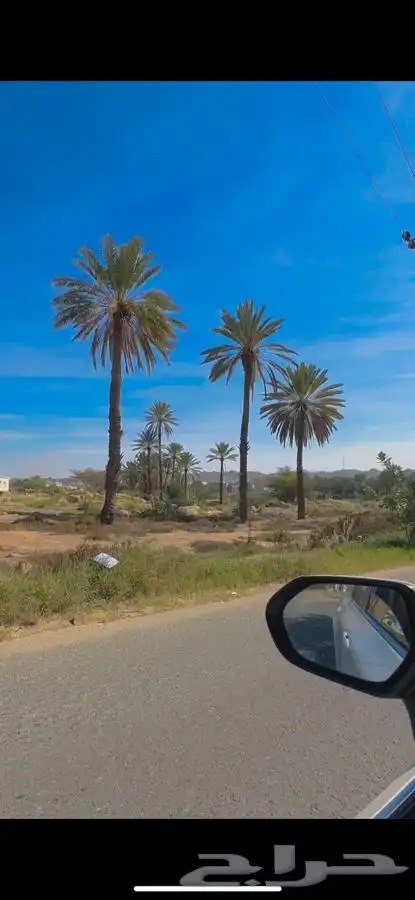 مطلوب حوش او مزرعه بحدود 5-10 الاف للايجار 0