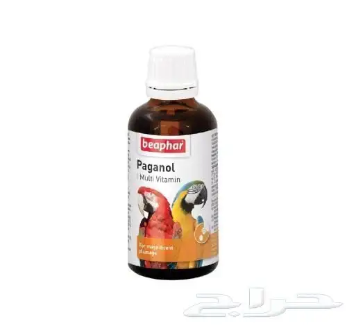 متجر Modi Birds مودي للحيوانات الاليفة 1