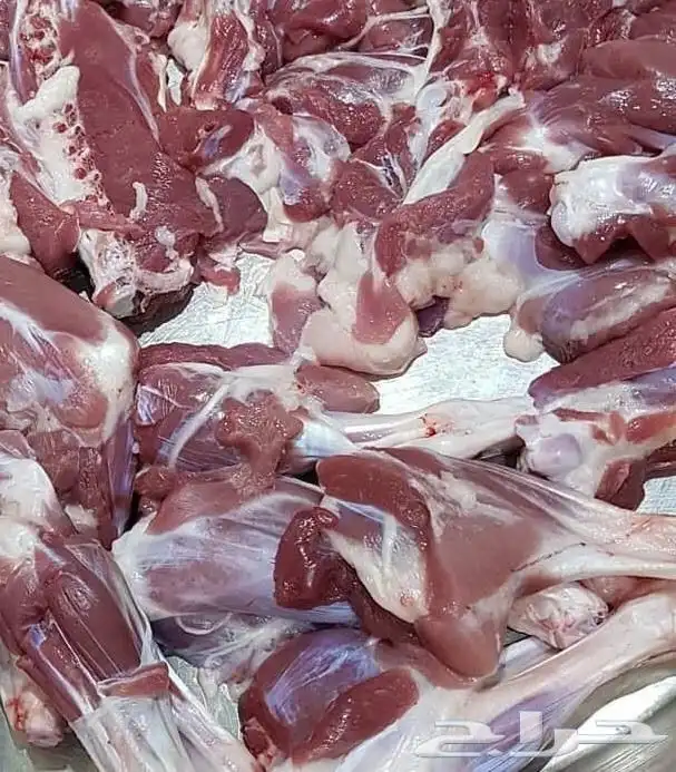 ذبايح النماص 3