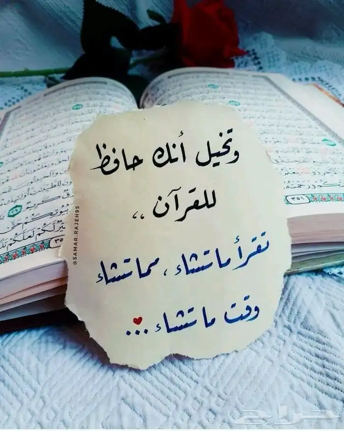 تحفيظ قرآن عن بعد للنساء والاطفال (8)حلقات(50)ريال فقط 0