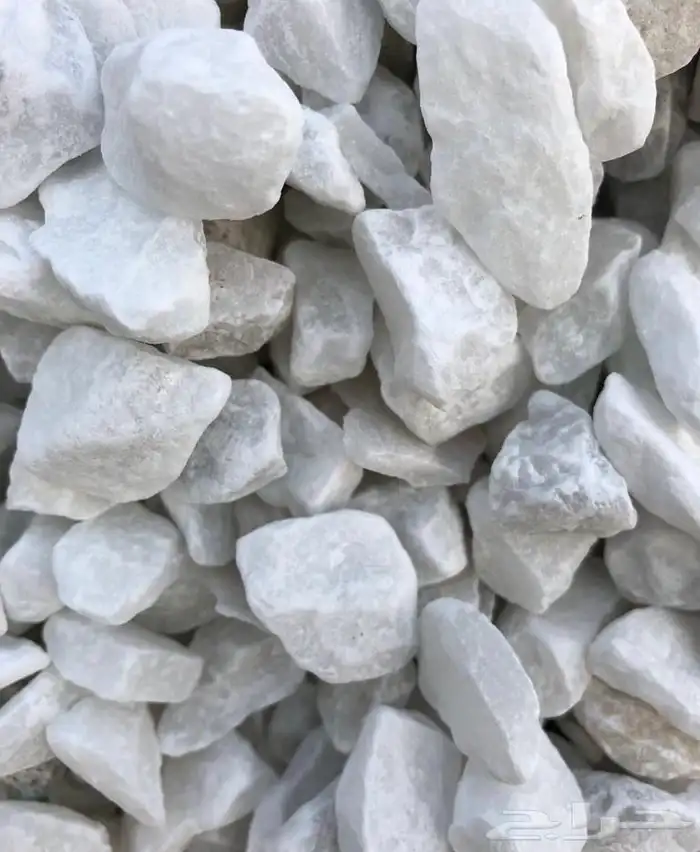 خرسان ابيض مرو 1