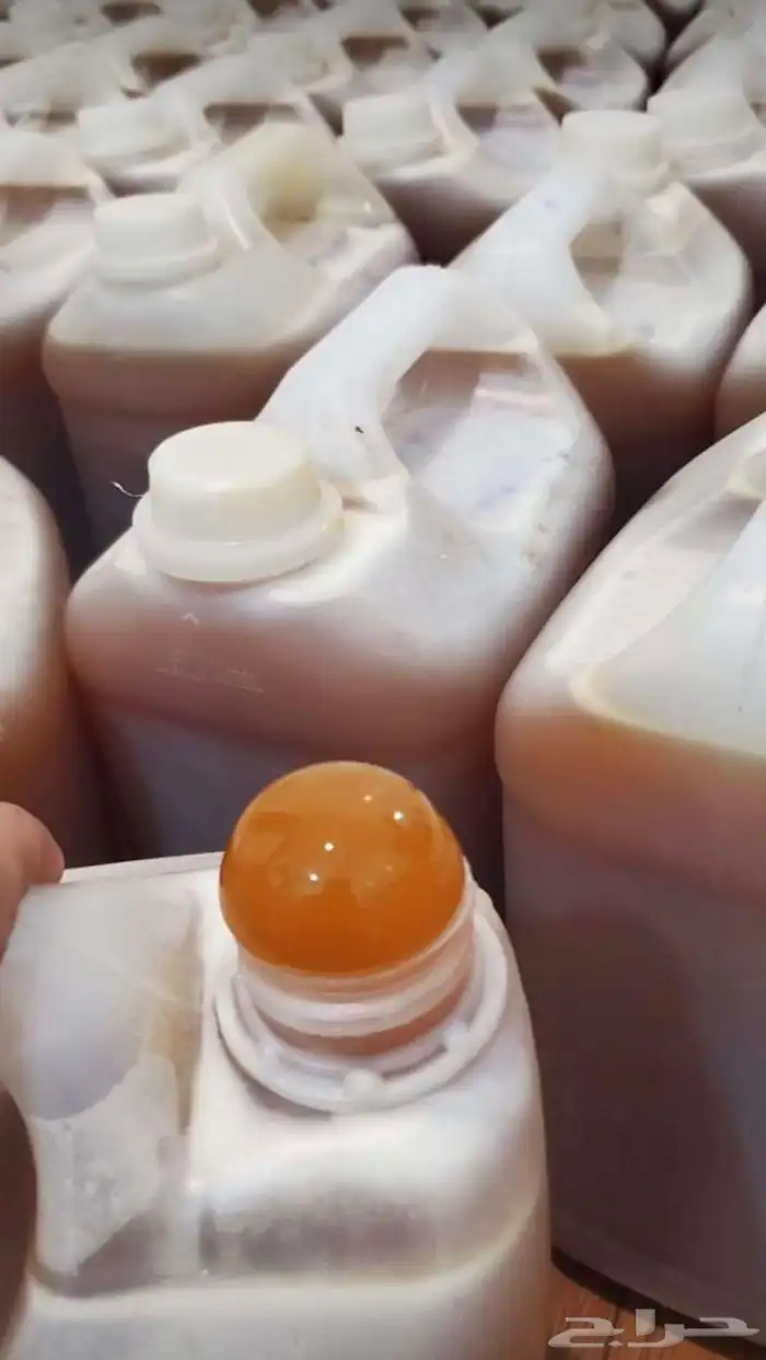 نحال الجنوب عسل وسمن بلدي 0