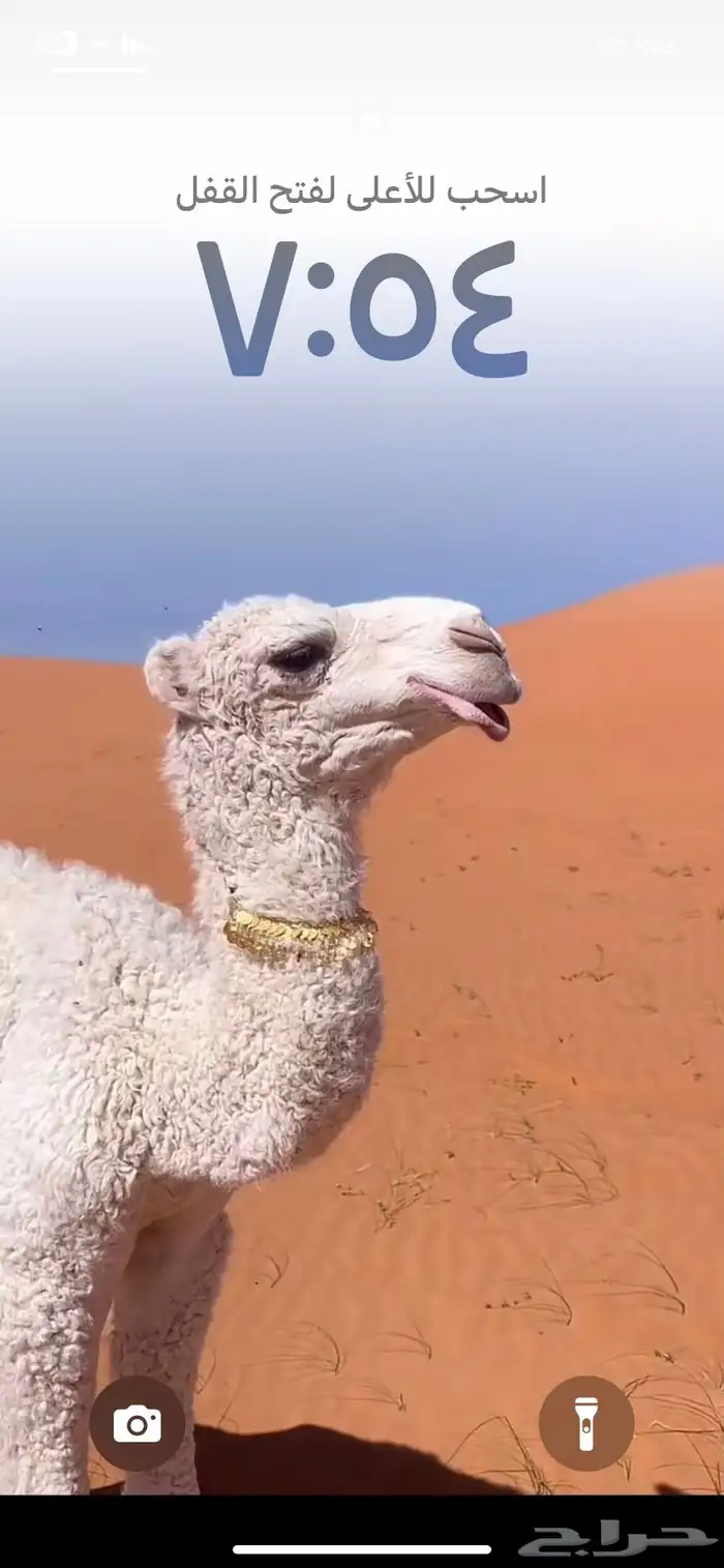 المزاحميه 0