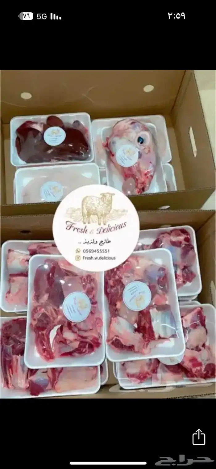 طليان نجد حريات سواكن 48