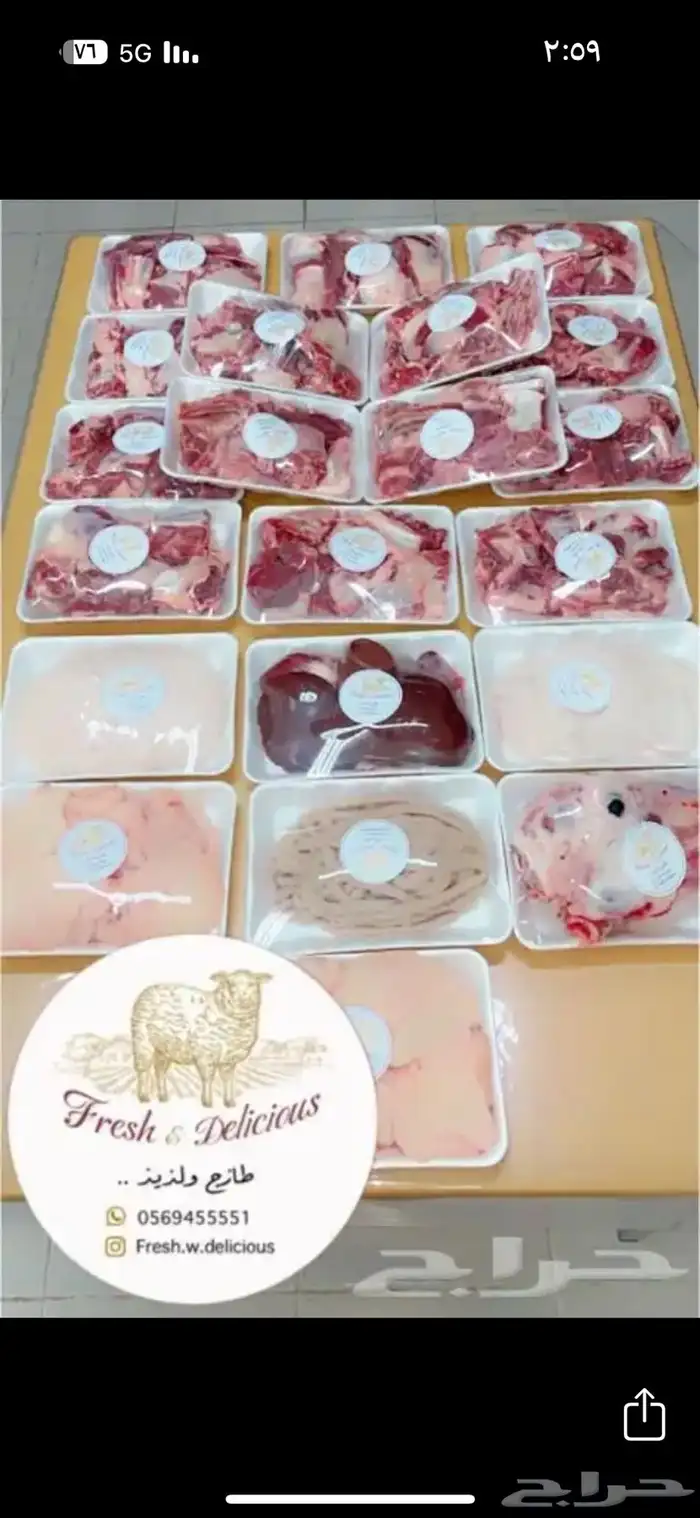 طليان نجد حريات سواكن 49