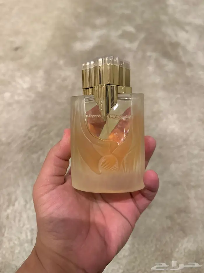 عطور للبيع 8