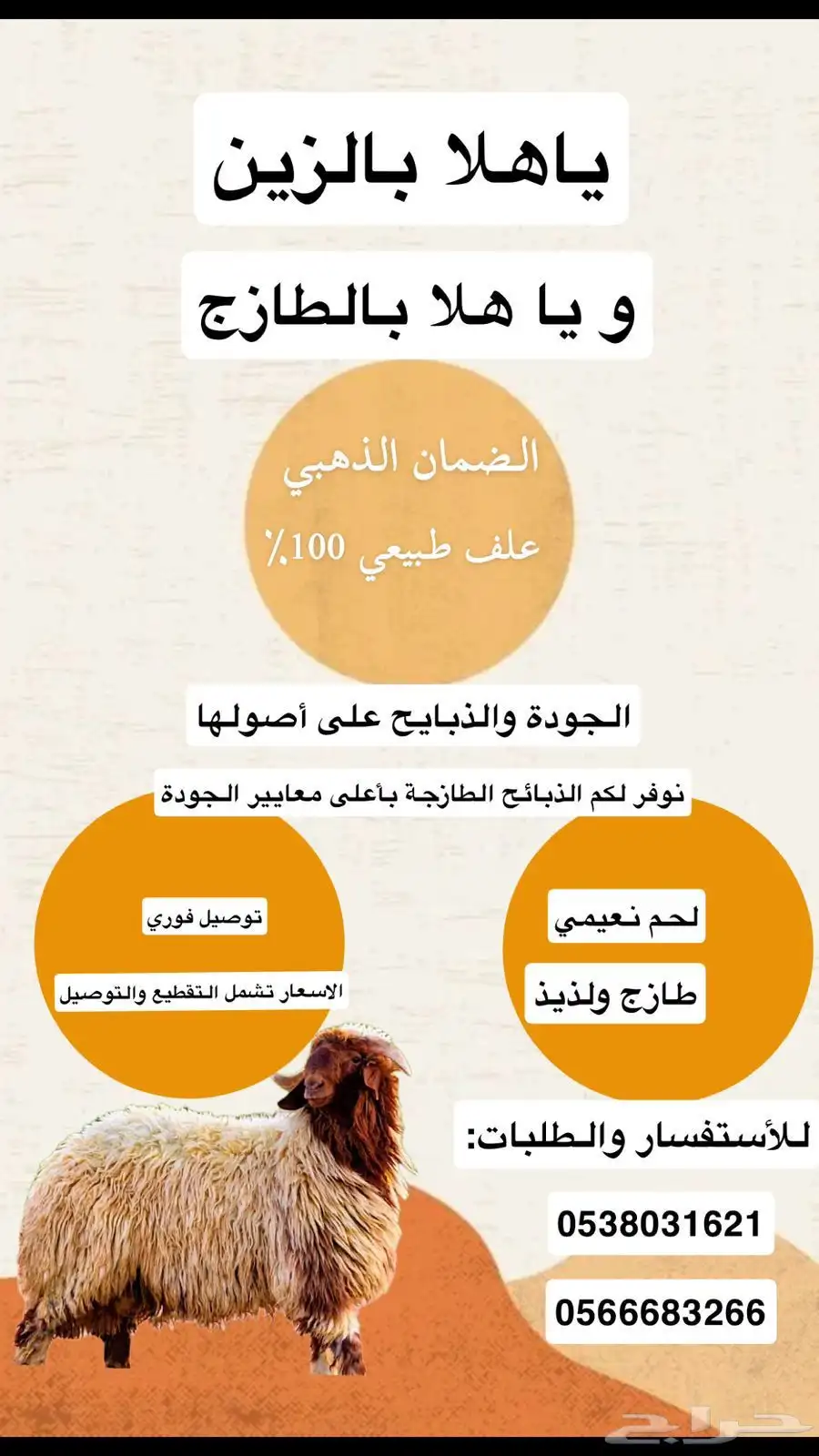 مع التوصيل 0
