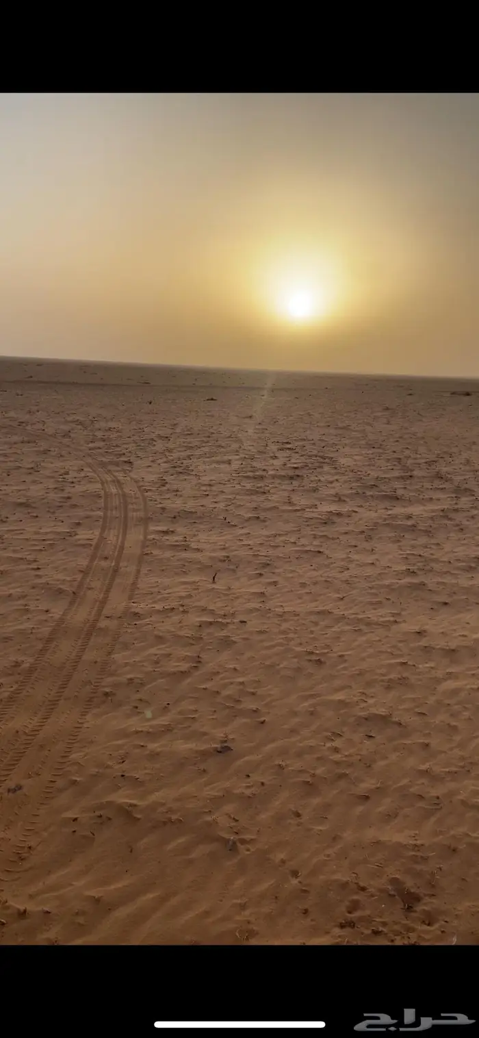 مزرعة بجانب محمية الامام تركي للايجار الطويل 2