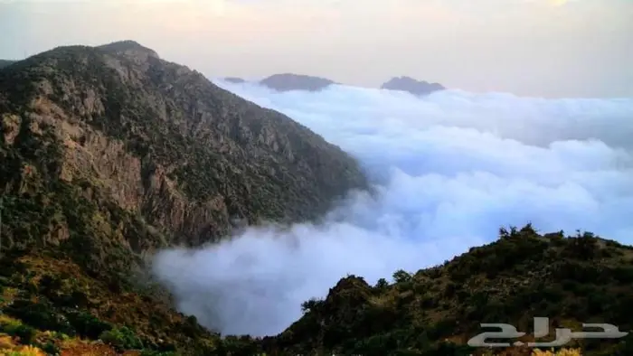 مرشد سياحي ابها 3